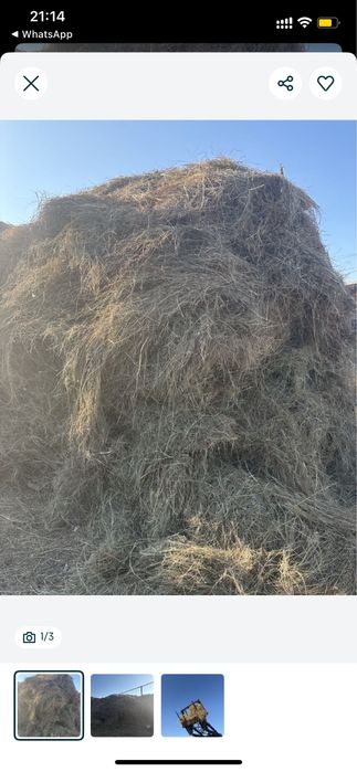 СЕНО ЛУГОВОЕ, россыпью