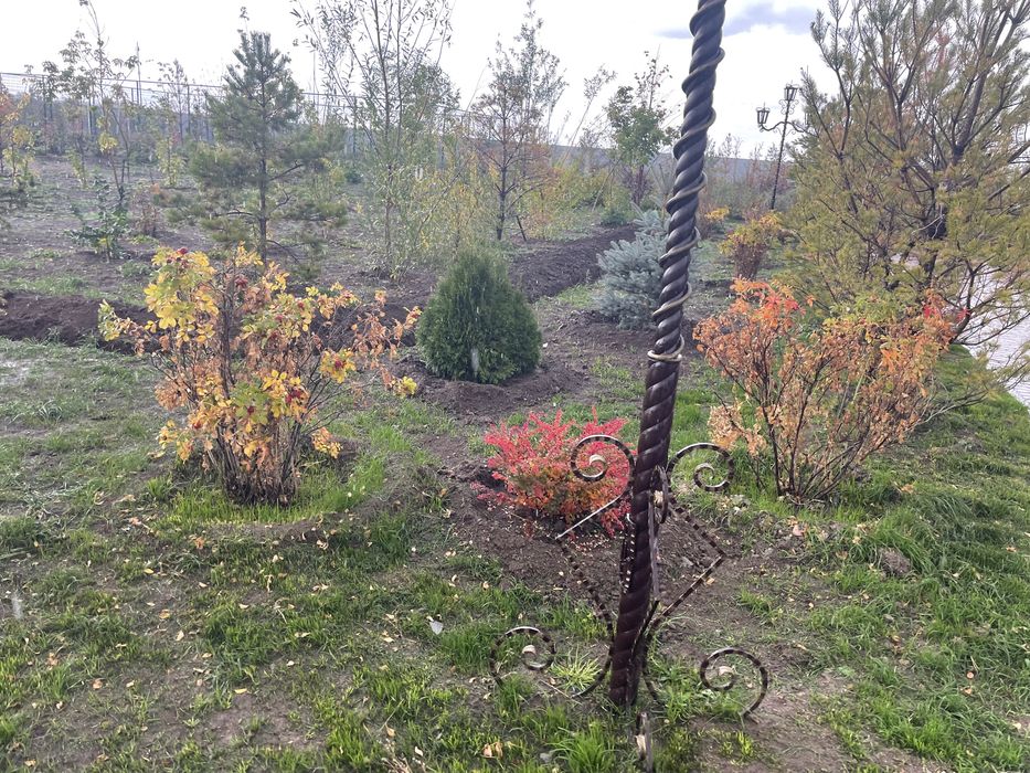 Озеленение, благоустройство, сад