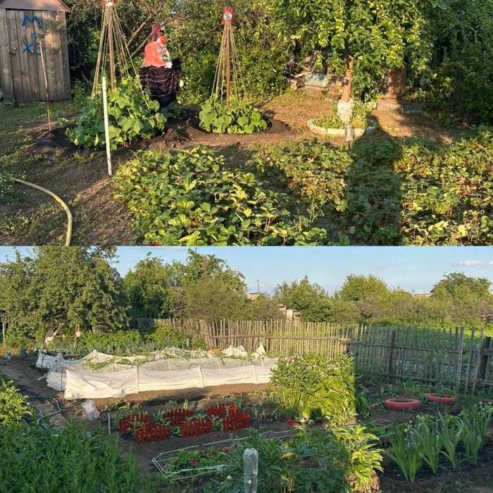 Продам дачу Сады-2