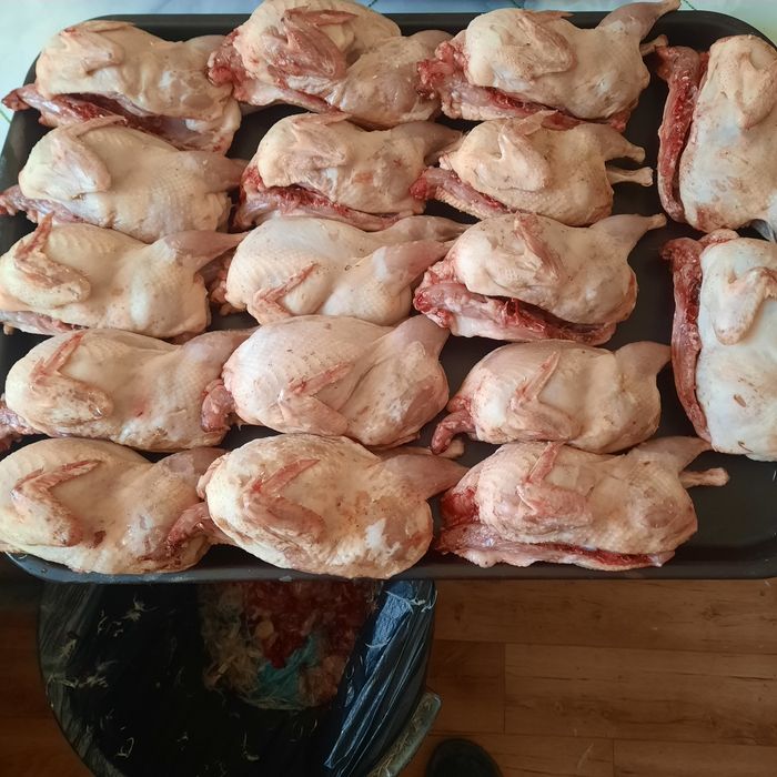Мясо перепелов 5000т
