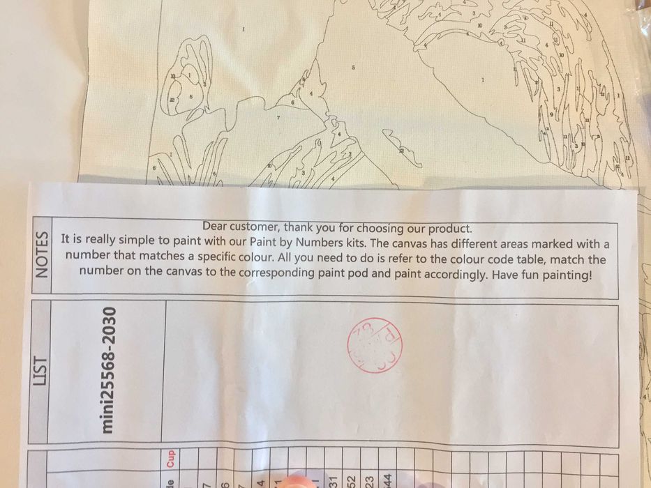 Комплект за рисуване по номера 20x30cm - портрет