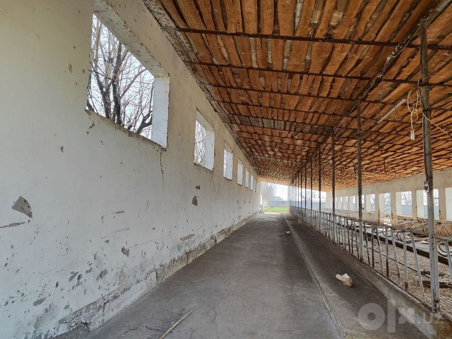 Iyik Otada ferma sotiladi (71 sotix) – Hamma sharoitlari bor
