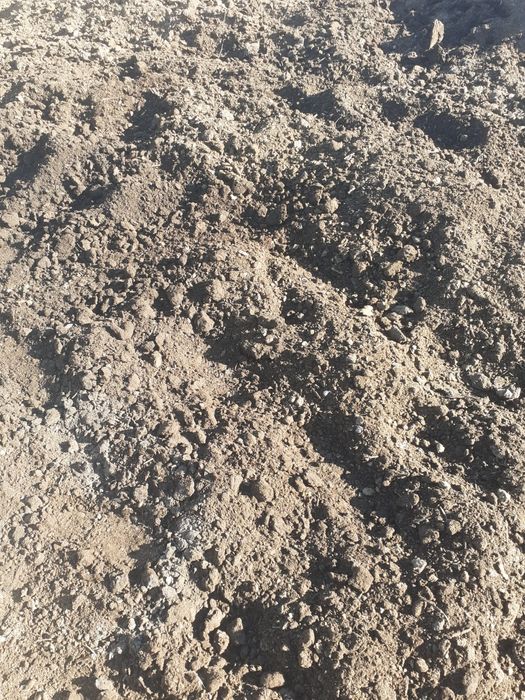 Навоз перепревший коровяк