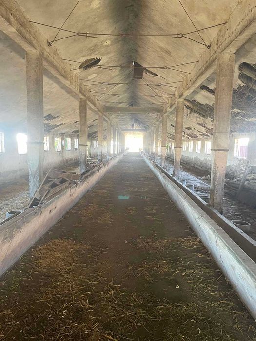 Продава се Промишлена сграда в с. Радишево, Област Плевен - 32000 кв.м за 0 €/кв.м - Снимка #3