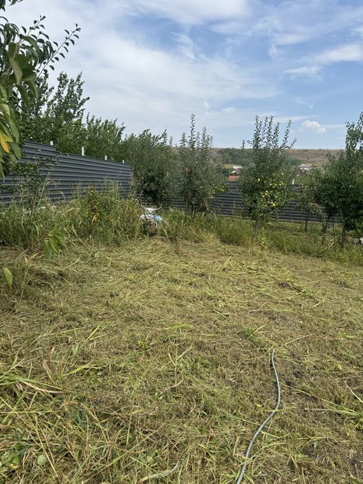 Teren casa Valea Lunga