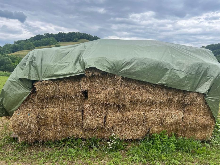 Vând baloți de lucernă - 300 de bucăți