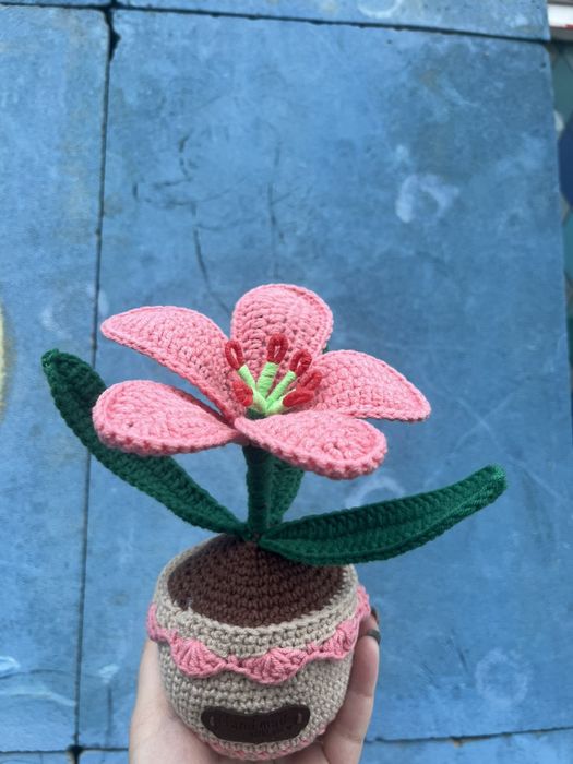 Плетено но една кука цвете в саксия