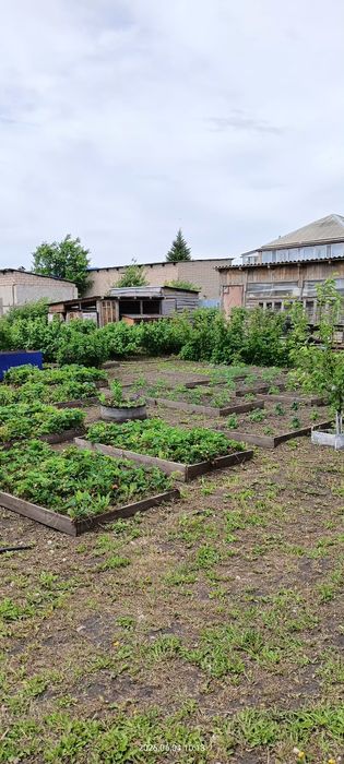 Продам дом в Солнечном