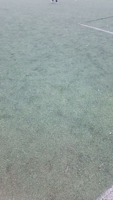 Sun'iy Gazon 1000 kv