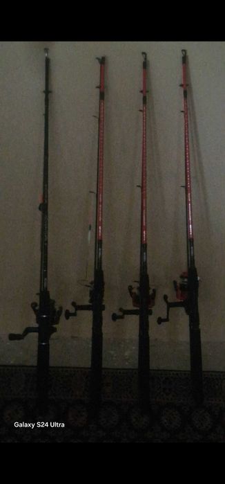 Lansete pescuit mitchell pro