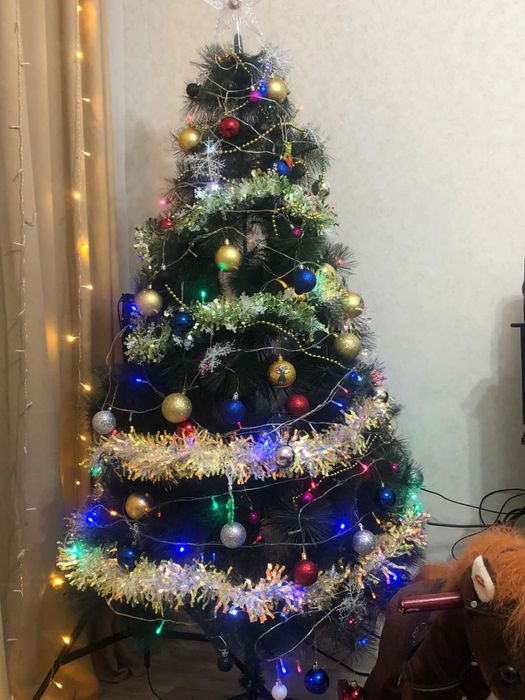 Ёлки Елка Новогодняя Шырша