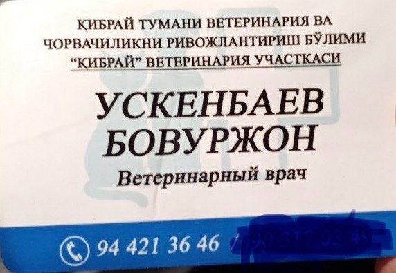 Veterinariya hizmati 24/7