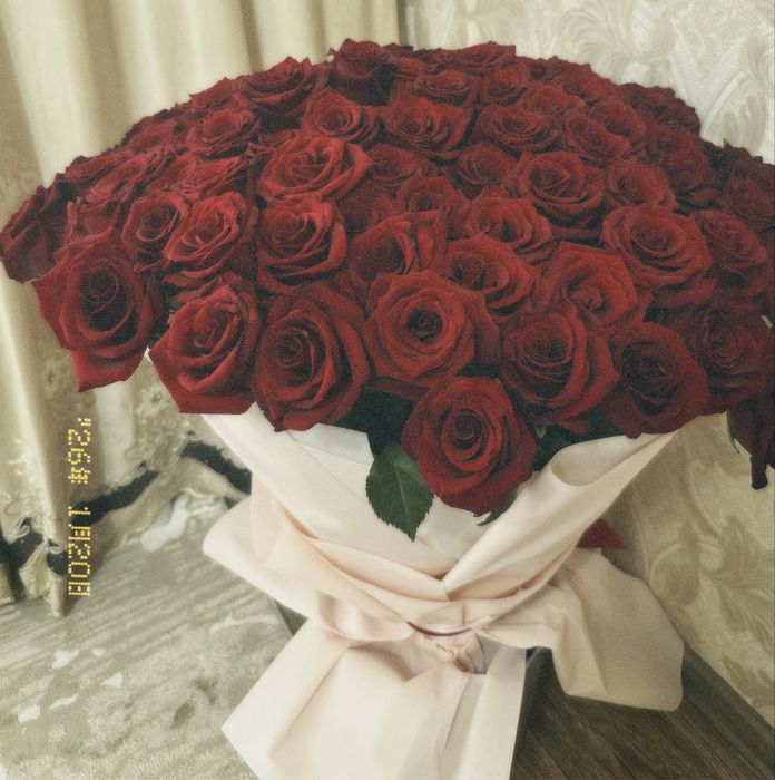 Цветы свежие. Роза 120см 101шт