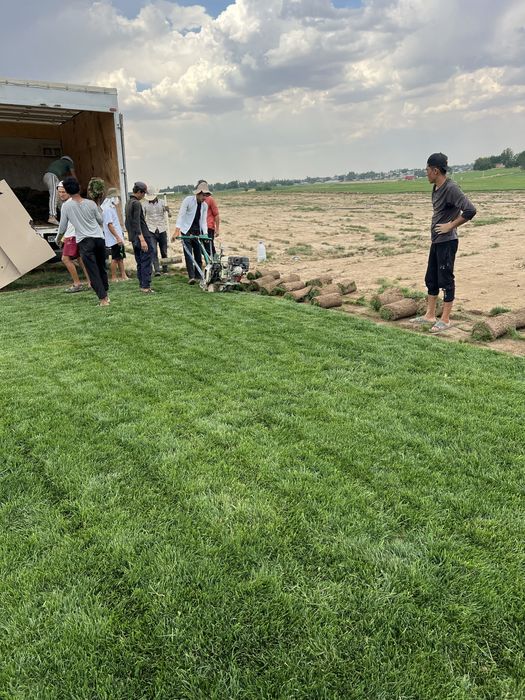 Gazon o’ptim  Abyomda bor  Kopro osela skidka bor