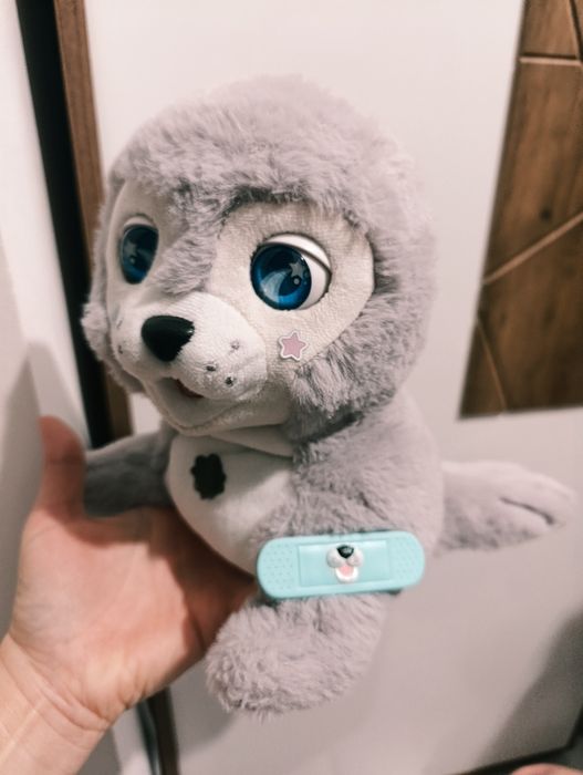 Silver,foca interactiva din plus