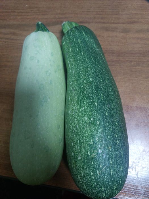 Продаются домашние  кабачки, огурцы