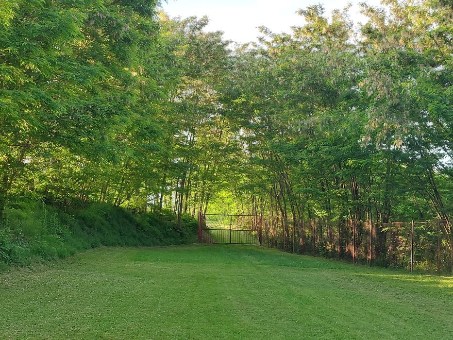 Închiriez cabana la munte