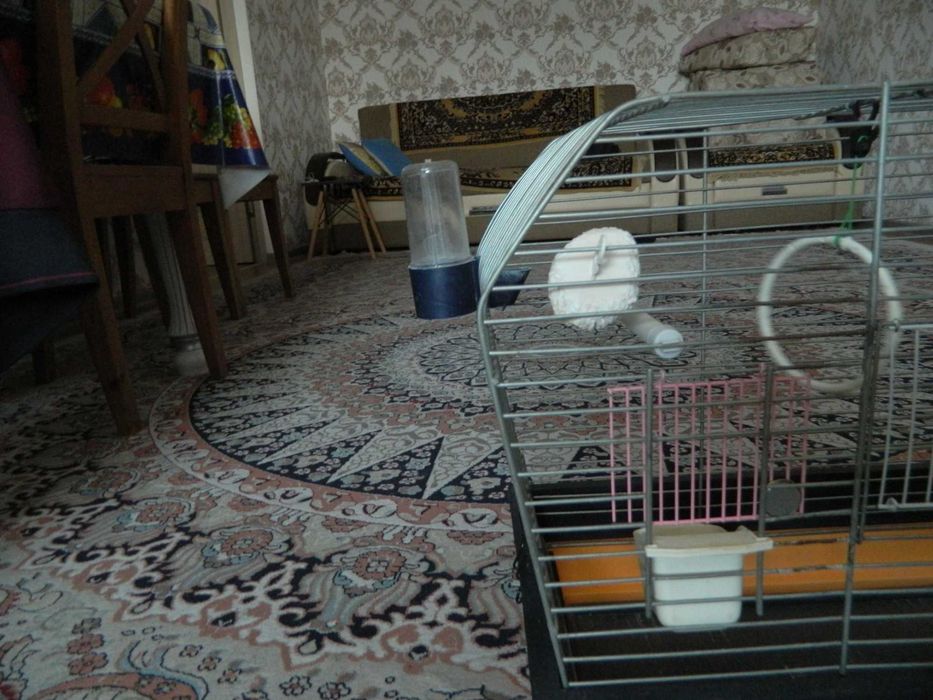Продам клетку для попугая