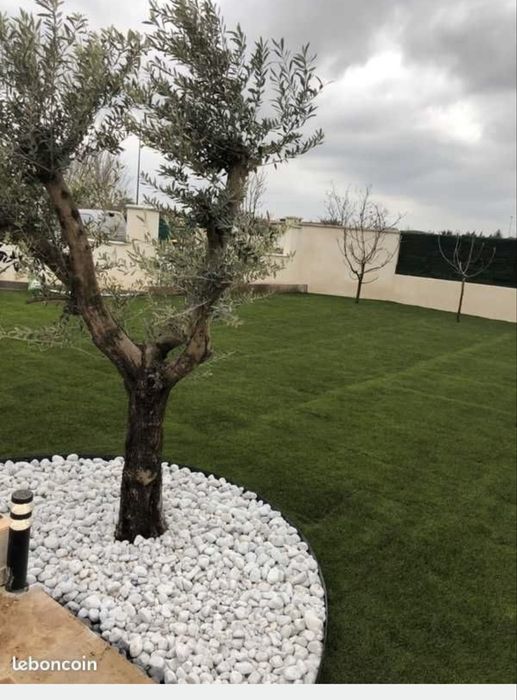 Gazon Tip rulou Pentru Exterior