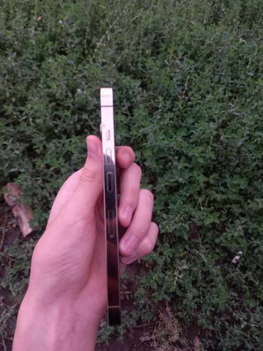 iphone 13 pro 256 gold