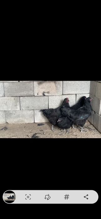 Продам Продам Продам