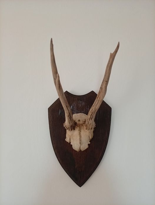 Decorațiune de perete