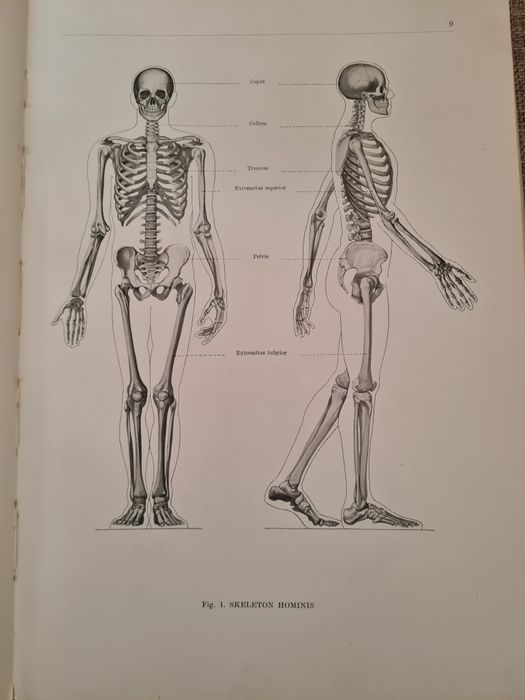 Анатомичен атлас