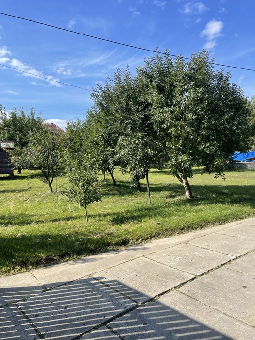 Casa de vanzare + teren de 3500 mp in Arpasu de Sus jud Sibiu