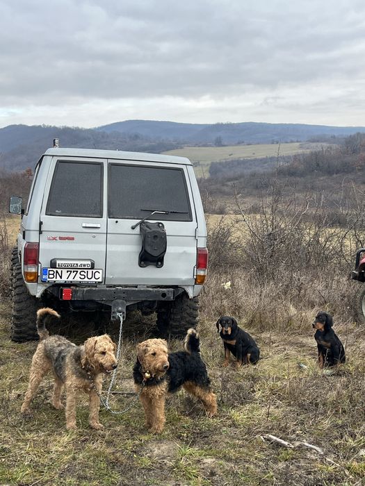 Toyota Land cruiser j70