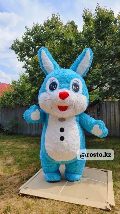 Ayiqlar optim narxda айиклар