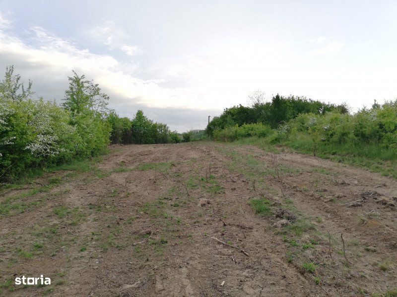 Teren 2000 mp intravilan Smeura-Mosoaia. Comision 0%