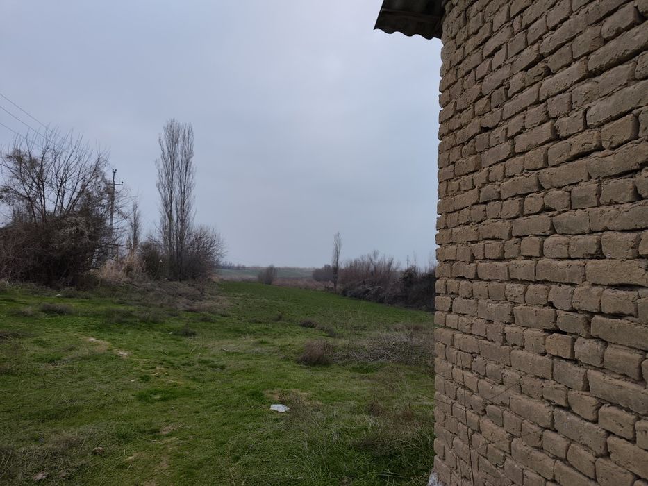 Тошкент вил, Бу́ка тумани, Бу́ка мфй, Худойкул кишлогида уй сотил