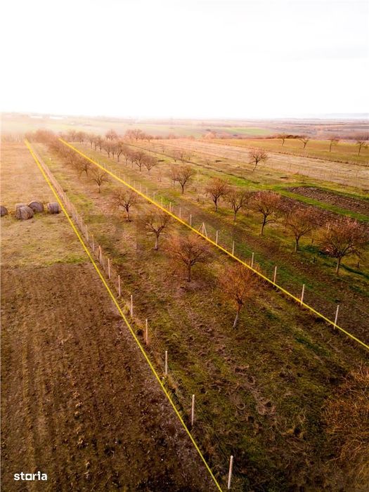 RECO Teren intravilan pentru loc de casa 5342 mp-  sat.Hotar