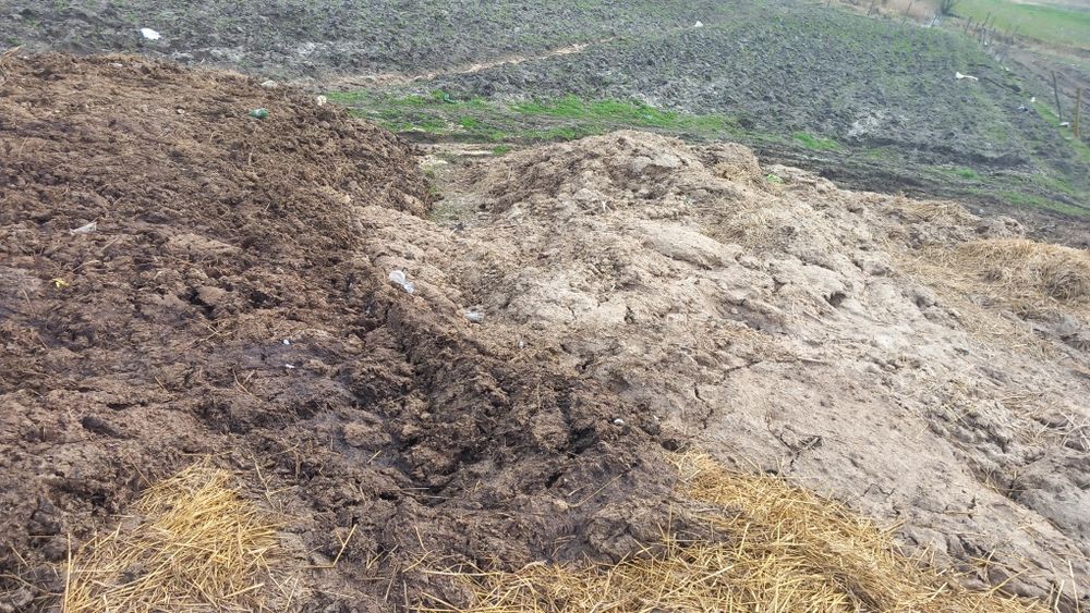 Donez gunoi de grajd