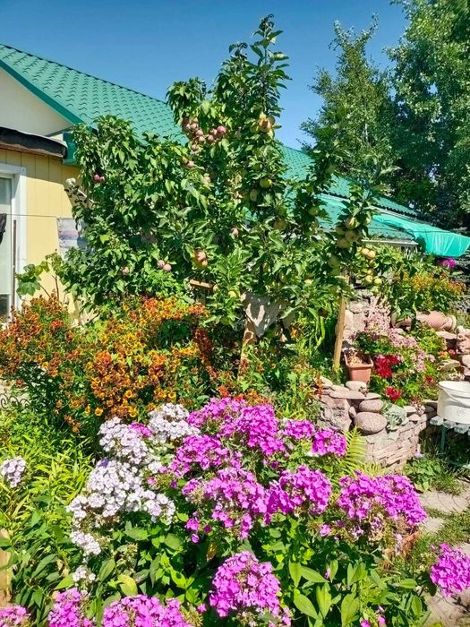Продам благоустроенный дом в центре города