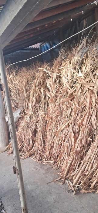 ,йемиш макайи сотилади