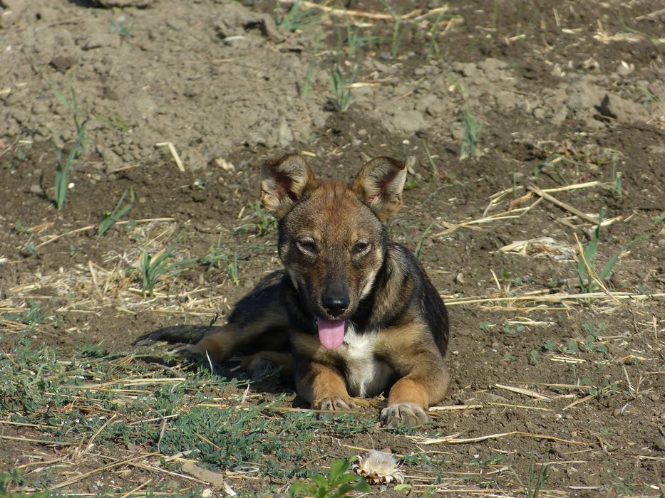 Фотоапарат panasonic lumix fz150