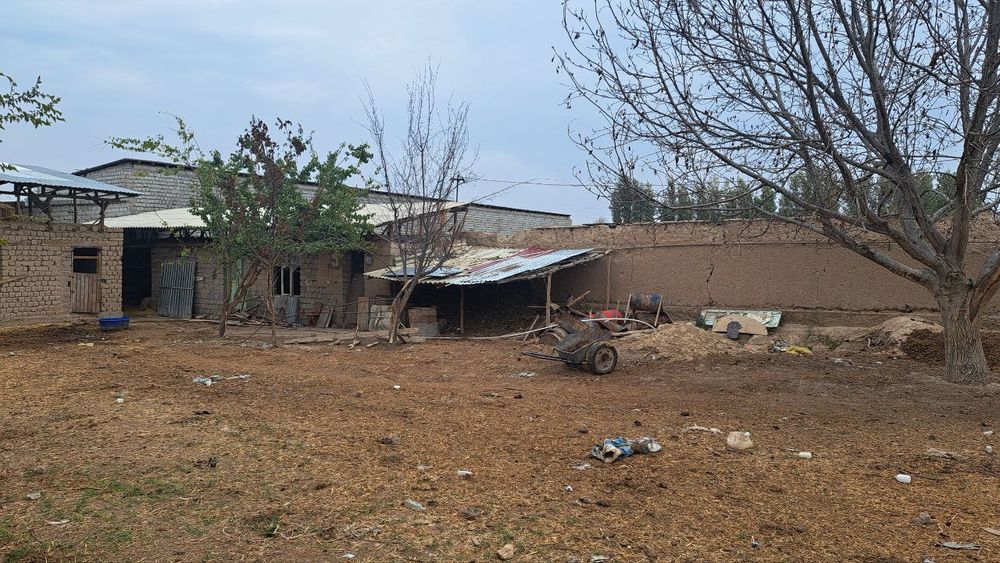 Srochna sotiladi juda tezlikda pul zaril! Nzarbekda Turkistnda 8 sotik