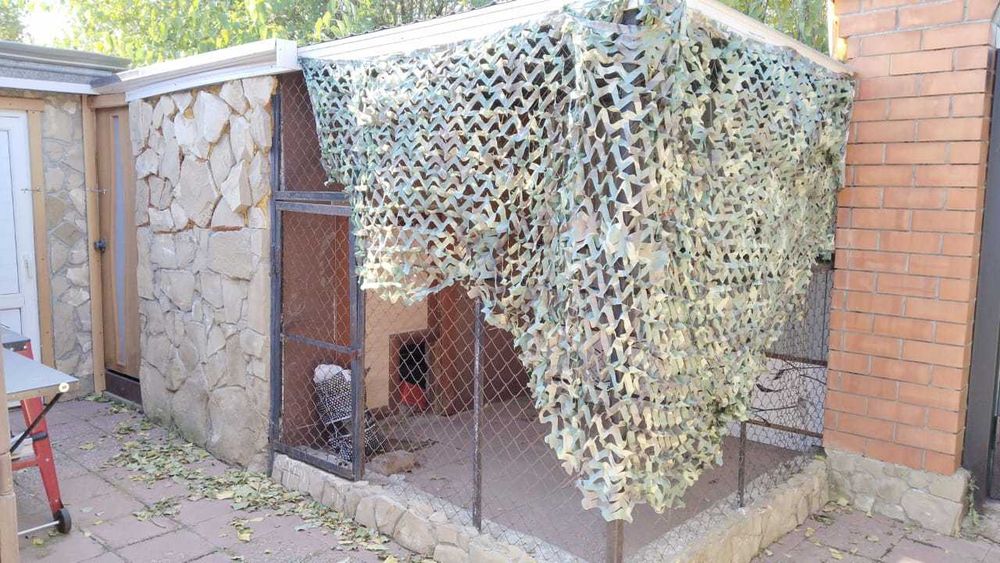 Продам два жилых дома