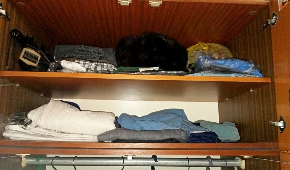 Платяной шкаф (двухсекционный)