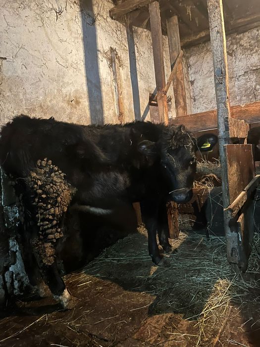 Сатылады  хабарласыныздар