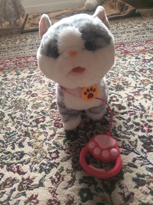 Oʻyinchoq gapiradi yuradigan