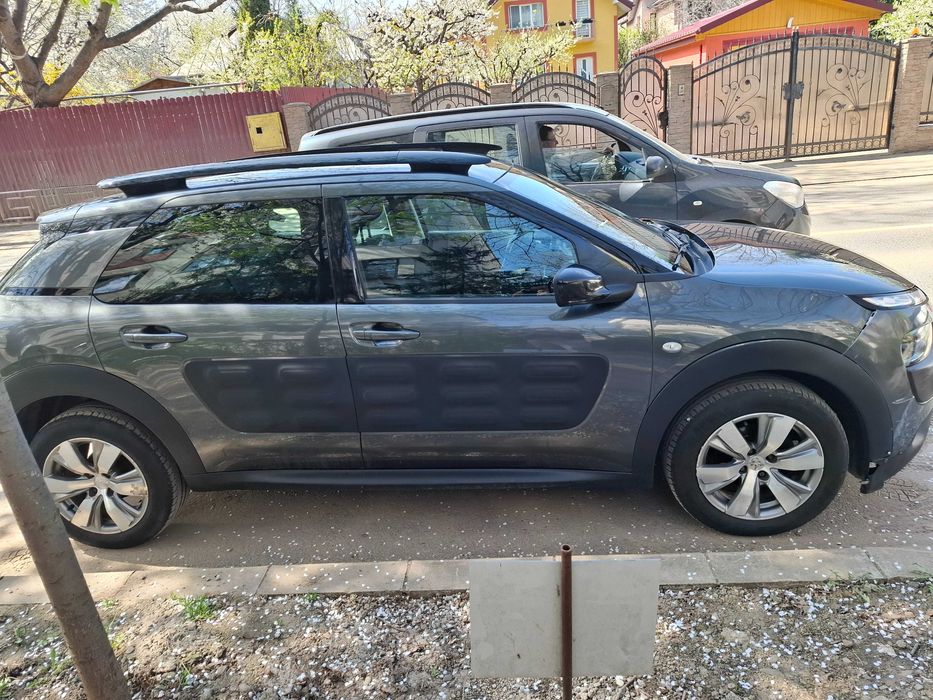 Vand Citroen cactus