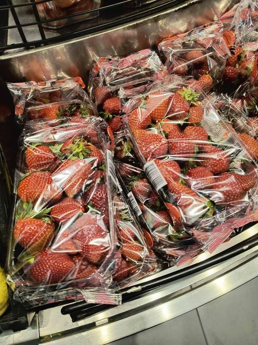 Разсад ягоди , малини и къпини