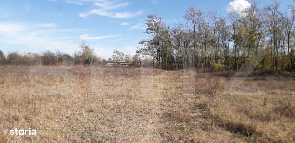 Teren 7240mp, zona Prelungirea Panduri