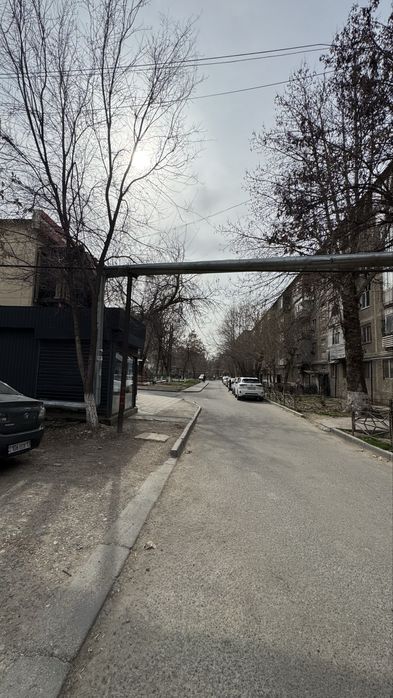 Овощии в аренду 777777