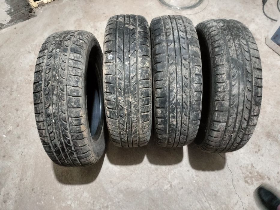 Tunga Zodiac шины