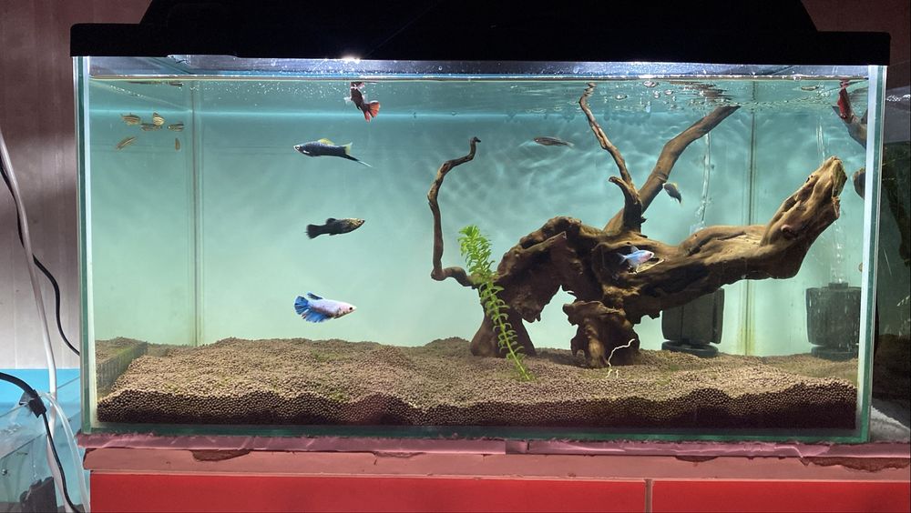 Аквариум 50 л и 27 л. Заводской и ручной аквариум