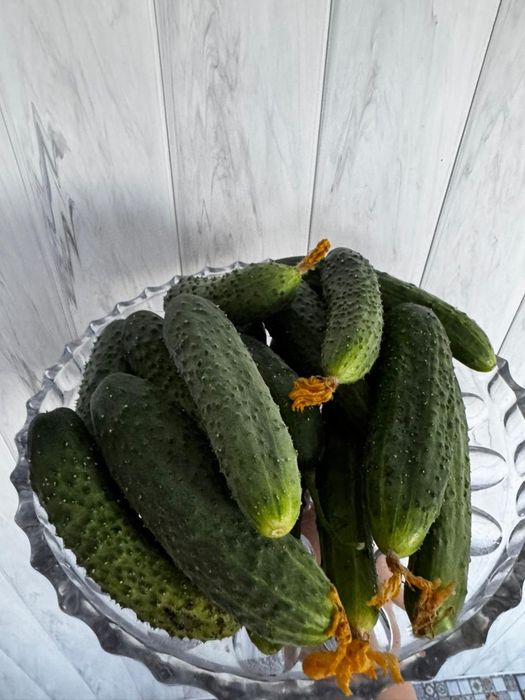 Продам огурчики домашние.