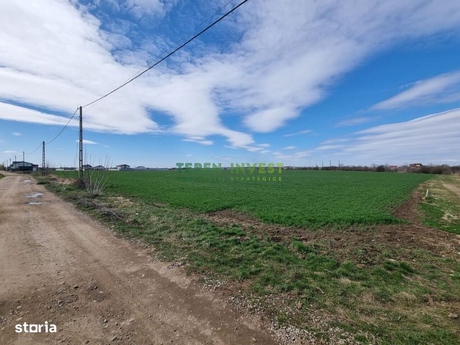 Teren 10.000 mp de vânzare – Balotești – PUZ locuințe